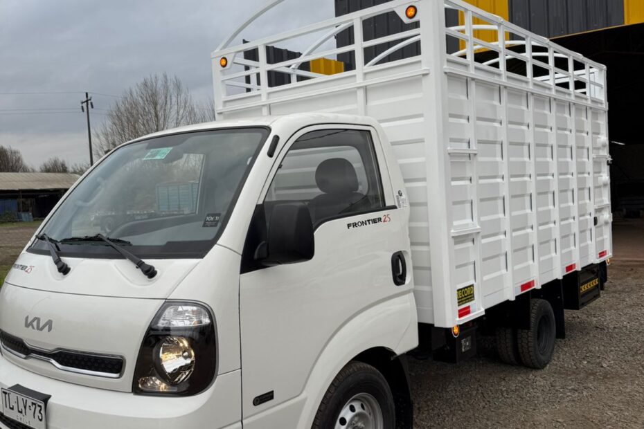 la imagen muestra una carrocería para camiones hecha por Carroceriasparacamiones.cl y equiposrecord.cl en la ciudad de San Carlos y Chillán