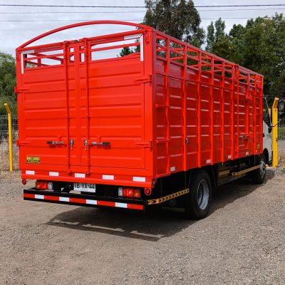 la imagen muestra una carrocería para camiones hecha por Carroceriasparacamiones.cl y equiposrecord.cl en la ciudad de San Carlos y Chillán